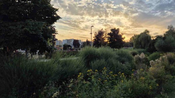 Aleksandra Weremczuk Kanalek Goclawski Fc8e0e4f9e179929eecd2554533a82f8