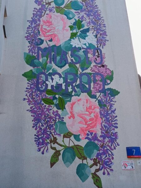 Katarzyna Wszeborowska Mural Ul.Chrobrego
