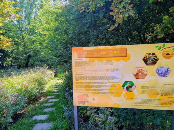 Katarzyna Wszeborowska Pasieka Edukacyjna Park Kosmosu