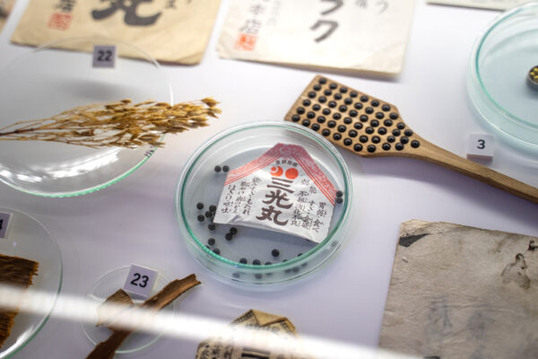 Eksponaty w Muzeum Farmacji