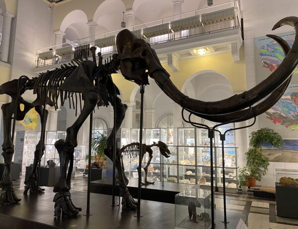 Muzeum Geologiczne, fot. Martyna Ługowska