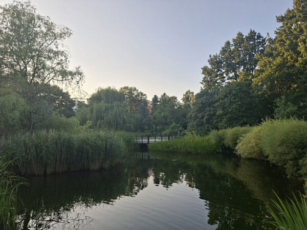 Park im. Z. Malickiego, fot. Marcelina Barszczewska