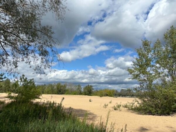 Plaża Zawady, fot. Zofia Kozubska
