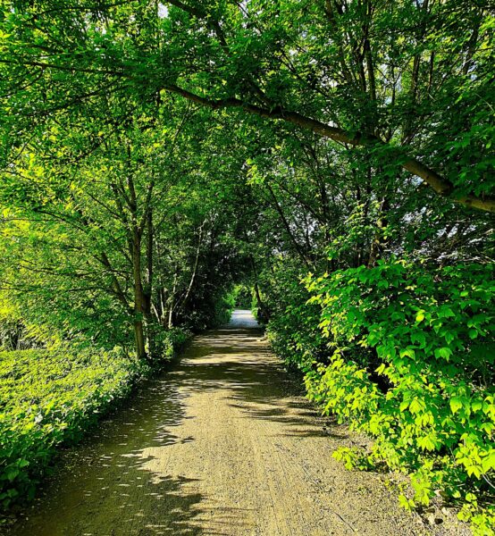 Zielone hektary w sercu Warszawy, fot. Norbert Bandurski_1