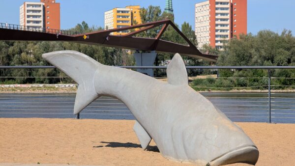 Wojtek Langner RybaPlazaKladkaPraga